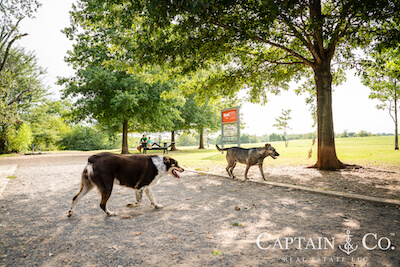 Shelby Farms Dog Park