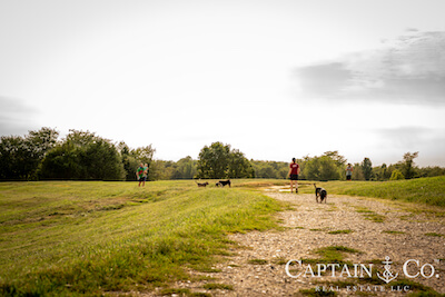 Popular Shelby Farms